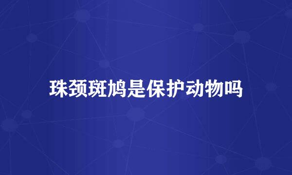 珠颈斑鸠是保护动物吗