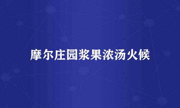 摩尔庄园浆果浓汤火候