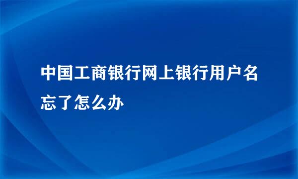 中国工商银行网上银行用户名忘了怎么办