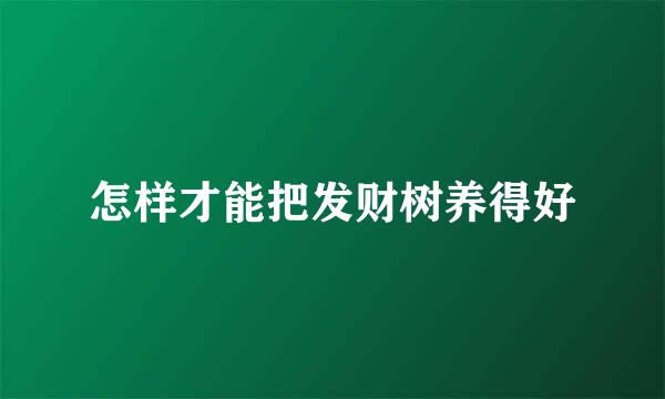 怎样才能把发财树养得好