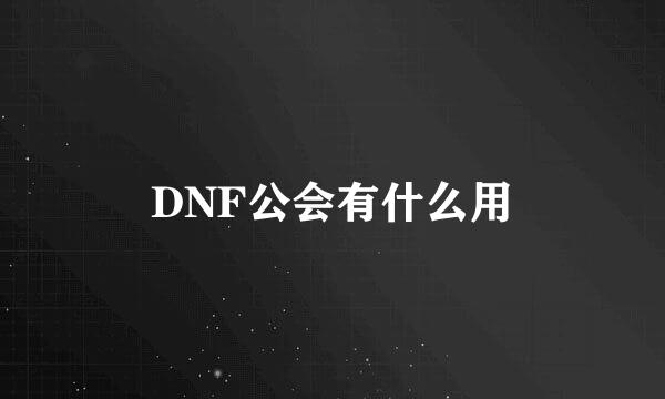 DNF公会有什么用