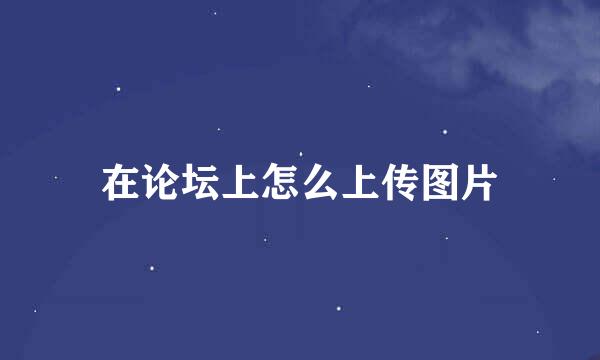 在论坛上怎么上传图片