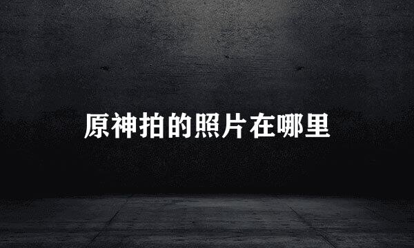 原神拍的照片在哪里