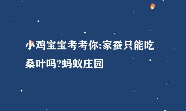 小鸡宝宝考考你:家蚕只能吃桑叶吗?蚂蚁庄园