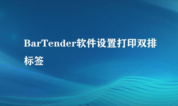 BarTender软件设置打印双排标签