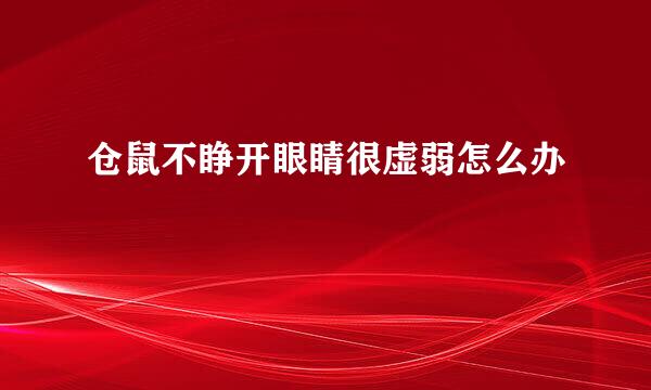 仓鼠不睁开眼睛很虚弱怎么办
