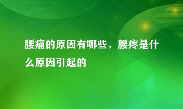 腰痛的原因有哪些，腰疼是什么原因引起的