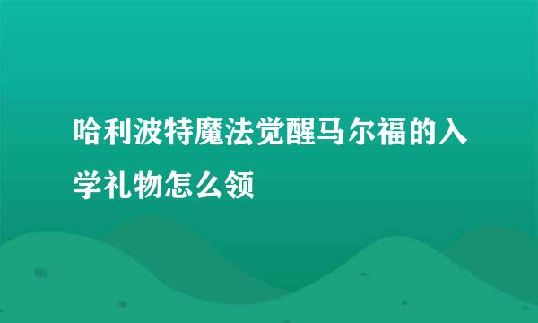 哈利波特魔法觉醒马尔福的入学礼物怎么领