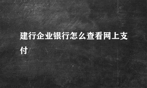 建行企业银行怎么查看网上支付