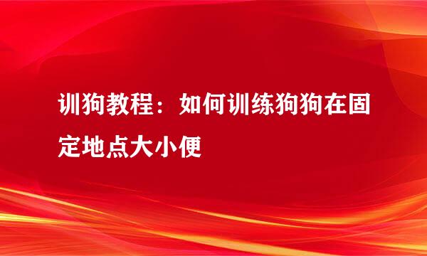 训狗教程：如何训练狗狗在固定地点大小便