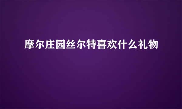 摩尔庄园丝尔特喜欢什么礼物