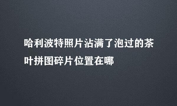 哈利波特照片沾满了泡过的茶叶拼图碎片位置在哪
