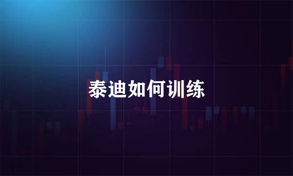 泰迪如何训练