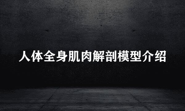 人体全身肌肉解剖模型介绍