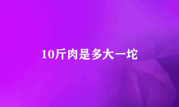 10斤肉是多大一坨