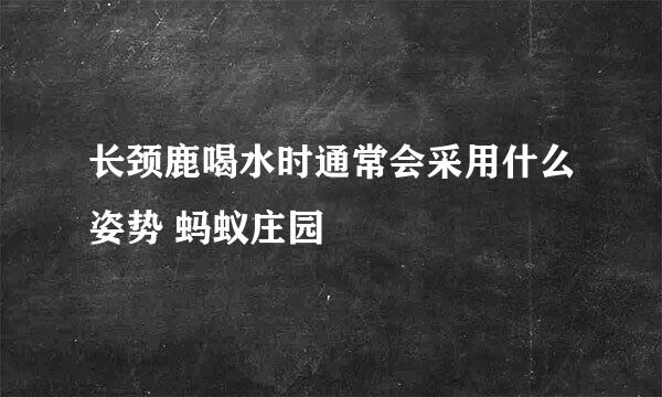 长颈鹿喝水时通常会采用什么姿势 蚂蚁庄园