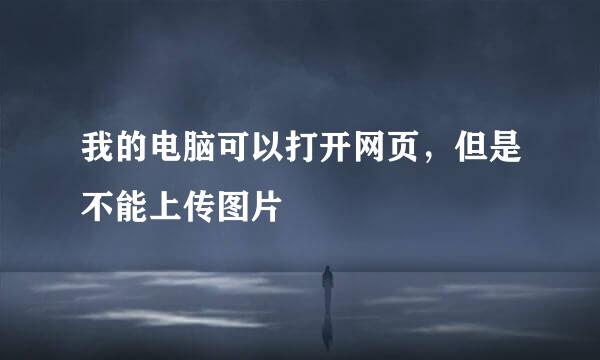我的电脑可以打开网页，但是不能上传图片