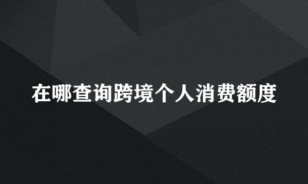 在哪查询跨境个人消费额度