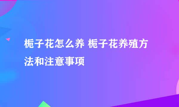 栀子花怎么养 栀子花养殖方法和注意事项
