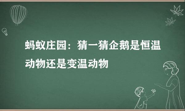 蚂蚁庄园：猜一猜企鹅是恒温动物还是变温动物