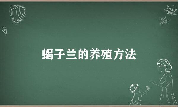 蝎子兰的养殖方法