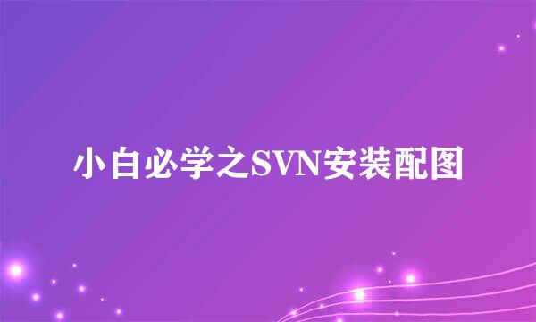 小白必学之SVN安装配图