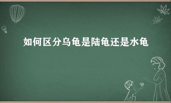 如何区分乌龟是陆龟还是水龟