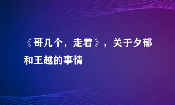 《哥几个，走着》，关于夕郁和王越的事情