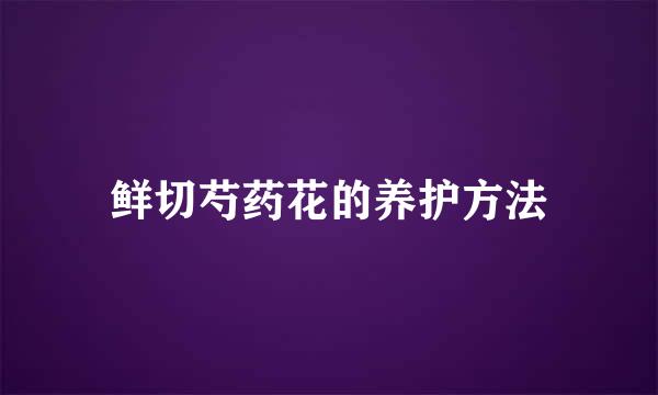 鲜切芍药花的养护方法