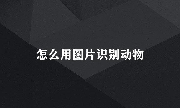 怎么用图片识别动物
