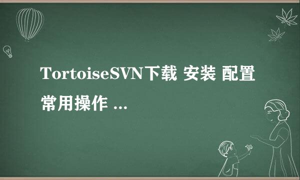TortoiseSVN下载 安装 配置 常用操作 svn教程