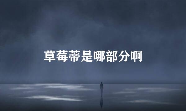 草莓蒂是哪部分啊