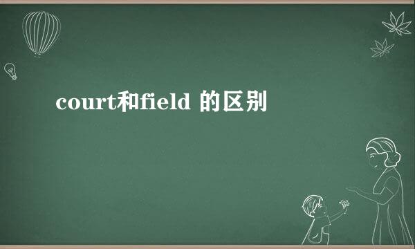 court和field 的区别