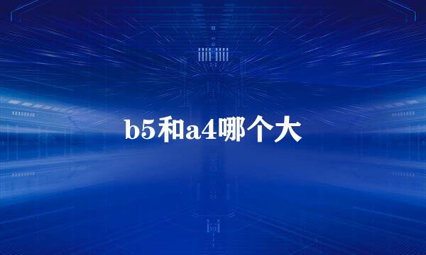b5和a4哪个大