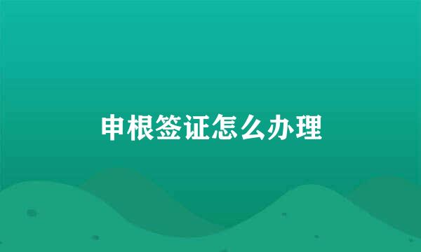 申根签证怎么办理