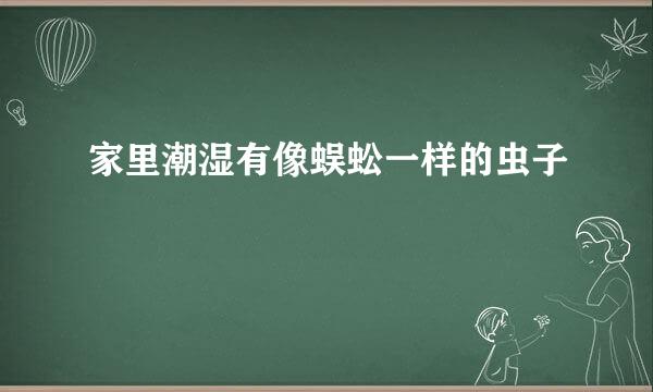 家里潮湿有像蜈蚣一样的虫子