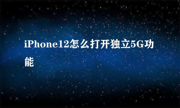 iPhone12怎么打开独立5G功能