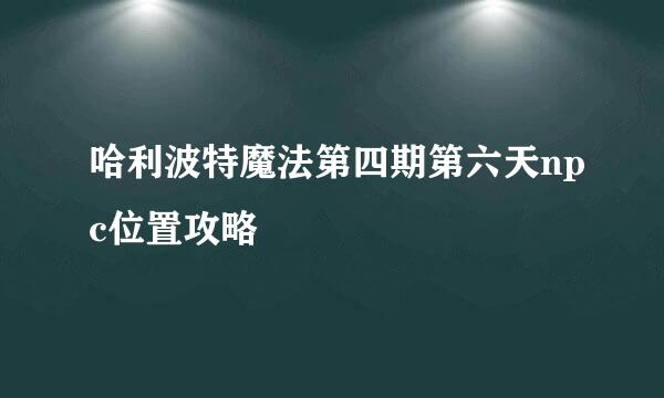 哈利波特魔法第四期第六天npc位置攻略