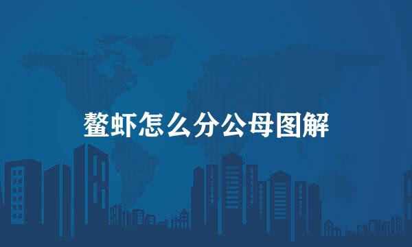 鳌虾怎么分公母图解