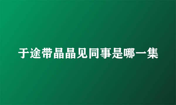 于途带晶晶见同事是哪一集
