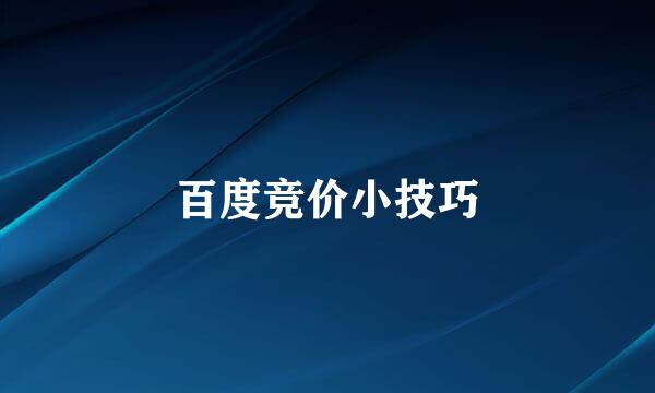 百度竞价小技巧
