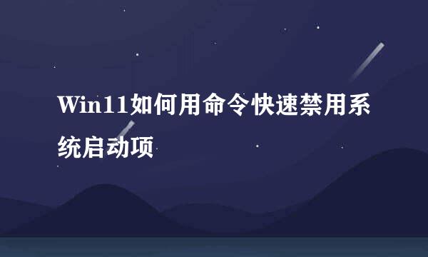 Win11如何用命令快速禁用系统启动项