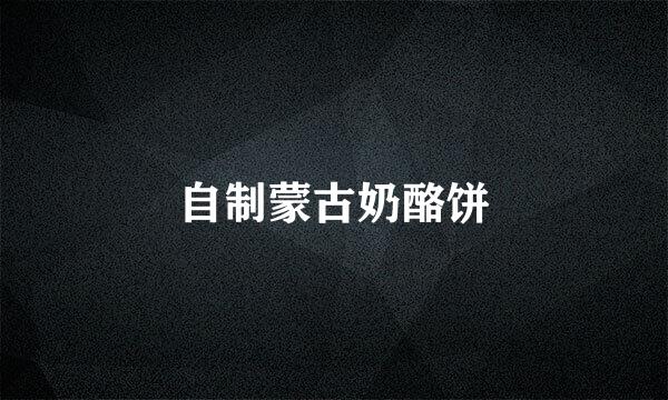 自制蒙古奶酪饼