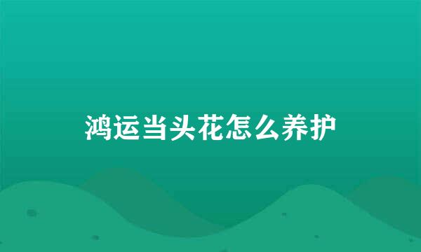 鸿运当头花怎么养护