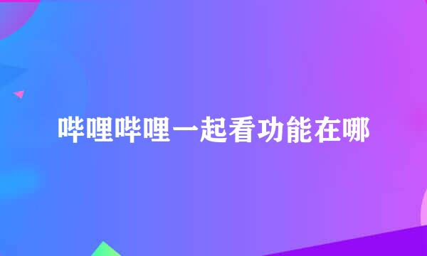 哔哩哔哩一起看功能在哪