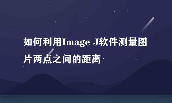 如何利用Image J软件测量图片两点之间的距离