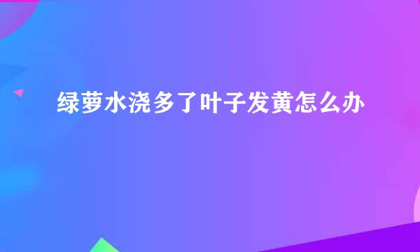 绿萝水浇多了叶子发黄怎么办