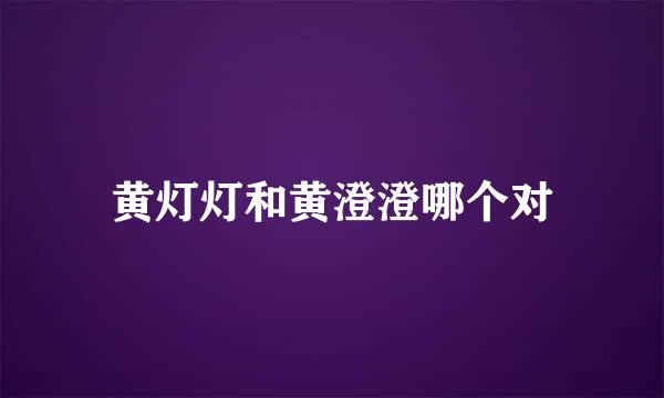 黄灯灯和黄澄澄哪个对
