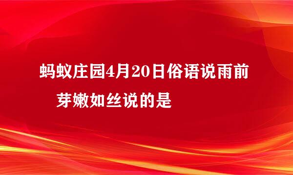 蚂蚁庄园4月20日俗语说雨前樁芽嫩如丝说的是
