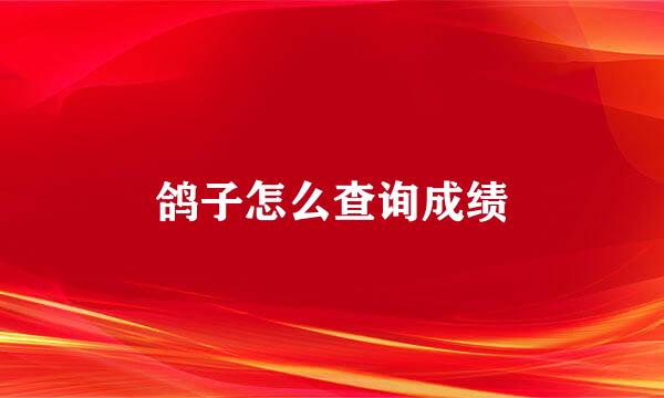 鸽子怎么查询成绩